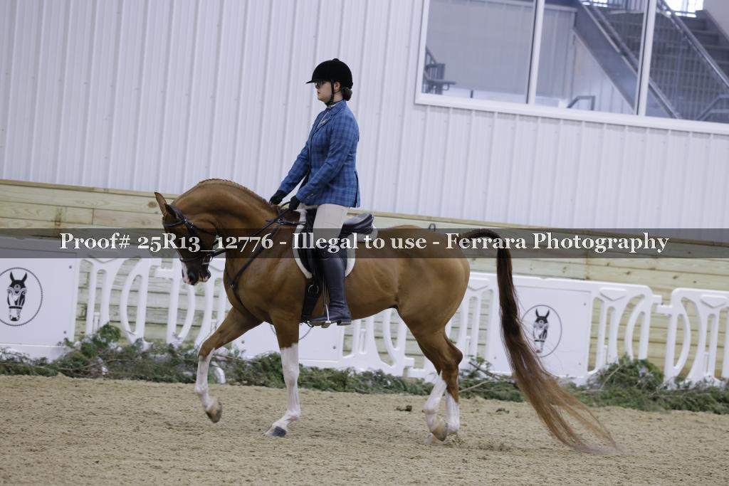 Proof 25R13_12776