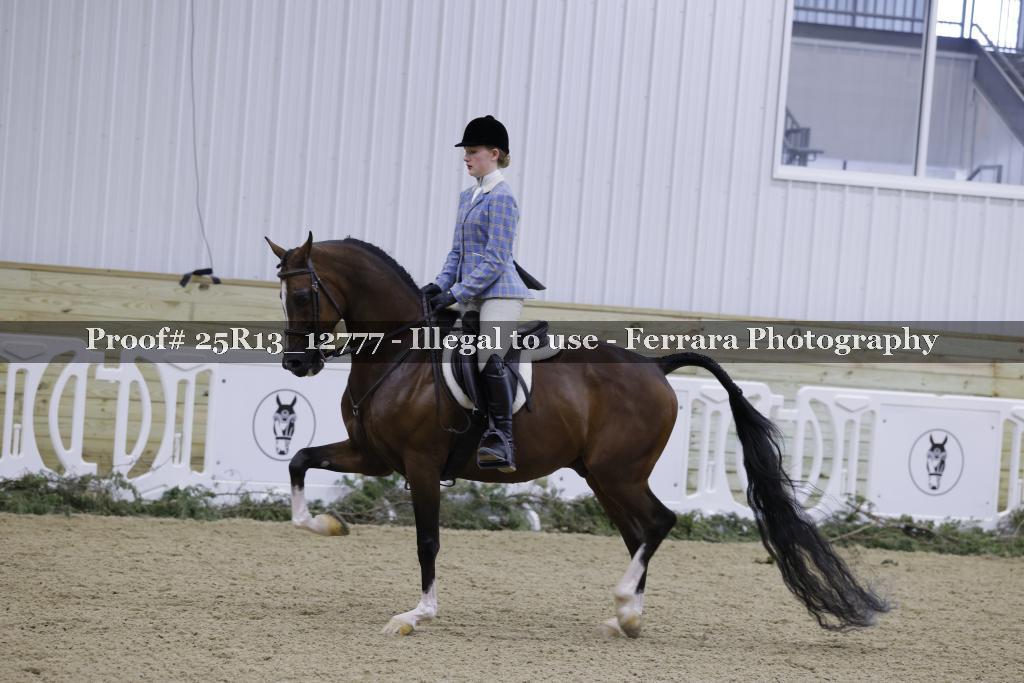 Proof 25R13_12777