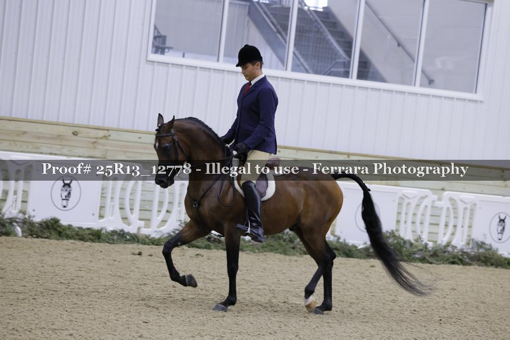 Proof 25R13_12778