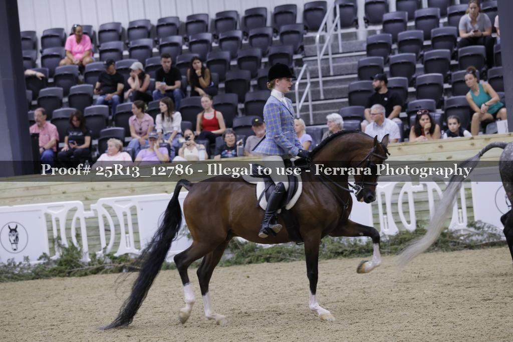 Proof 25R13_12786