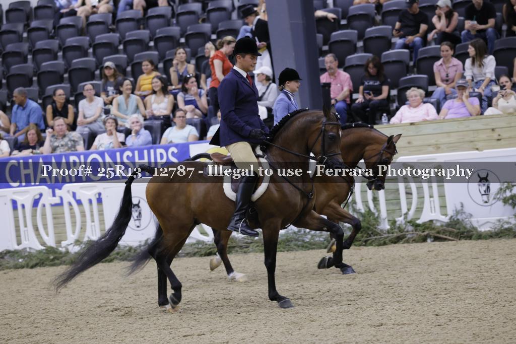 Proof 25R13_12787