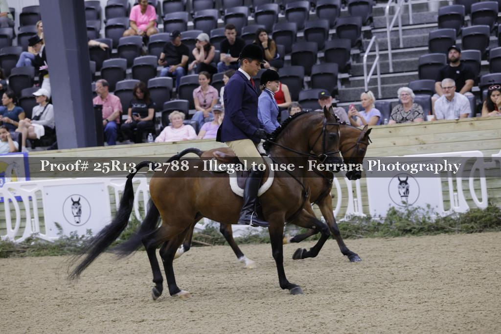 Proof 25R13_12788