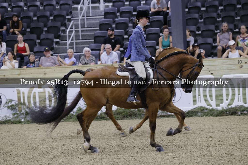 Proof 25R13_12794