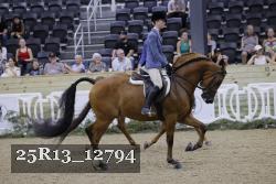 25R13_12794 proof
