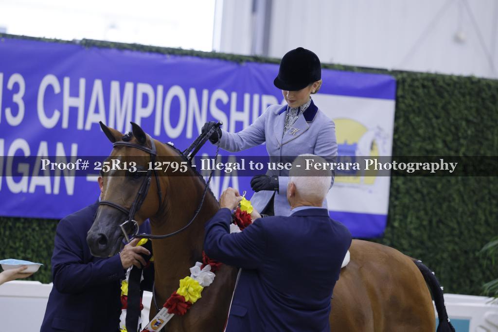 Proof 25R13_12795