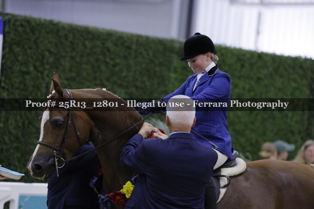 Proof 25R13_12801