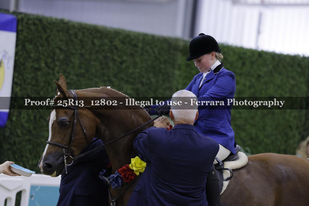 Proof 25R13_12802