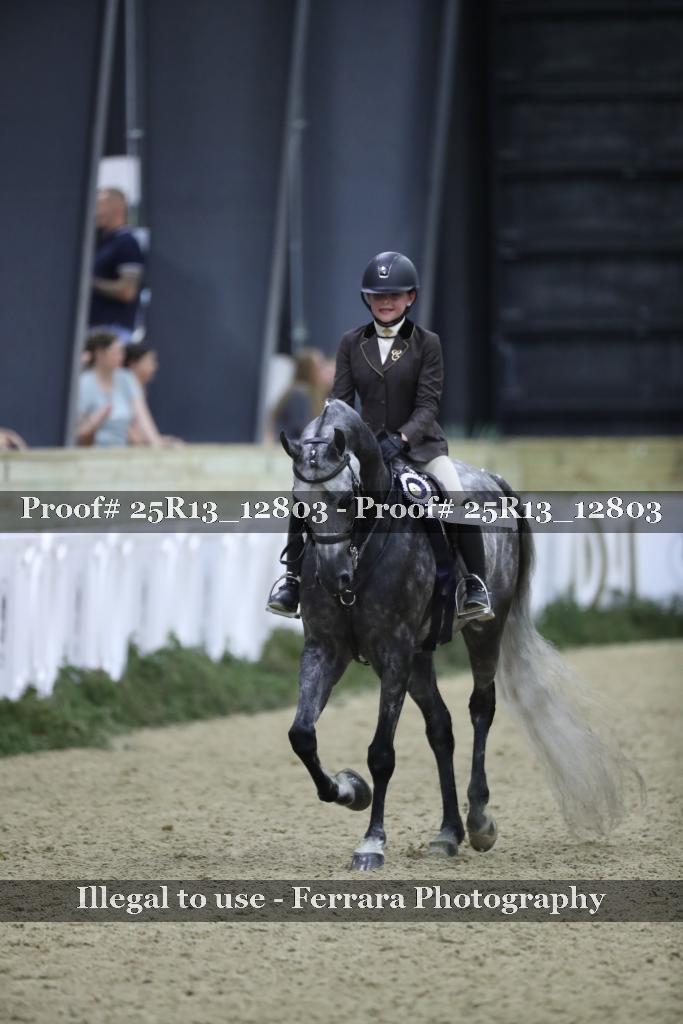 Proof 25R13_12803