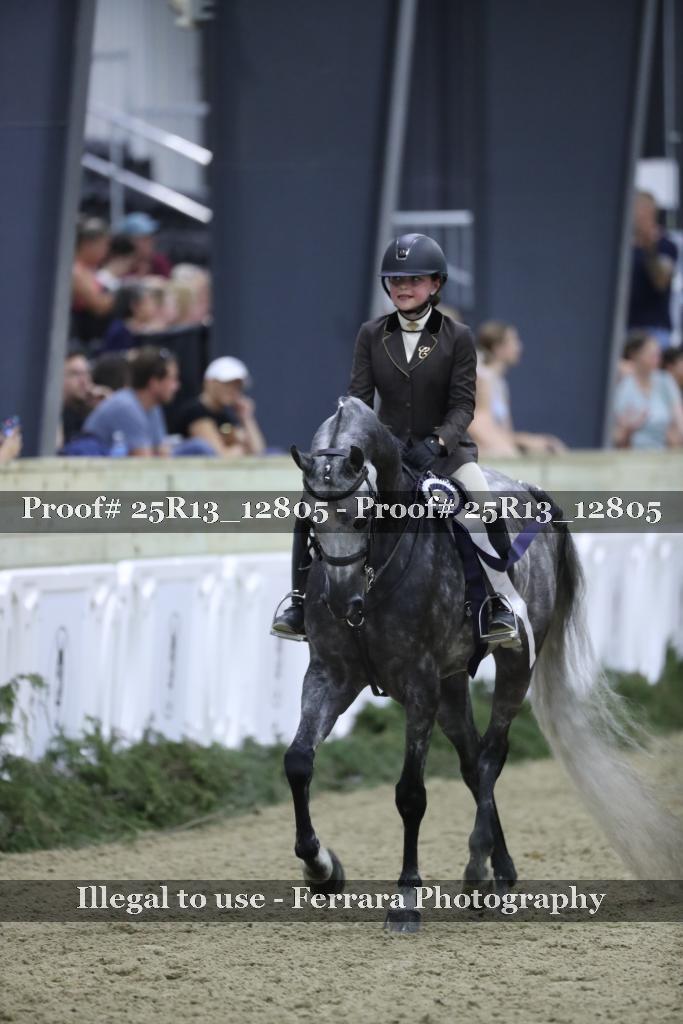 Proof 25R13_12805