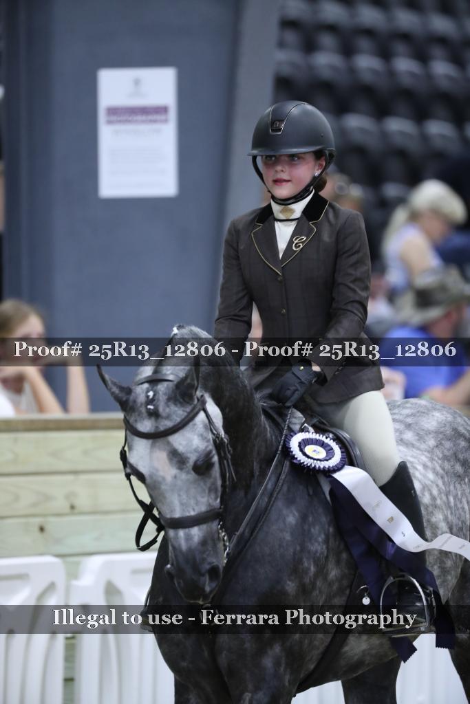 Proof 25R13_12806