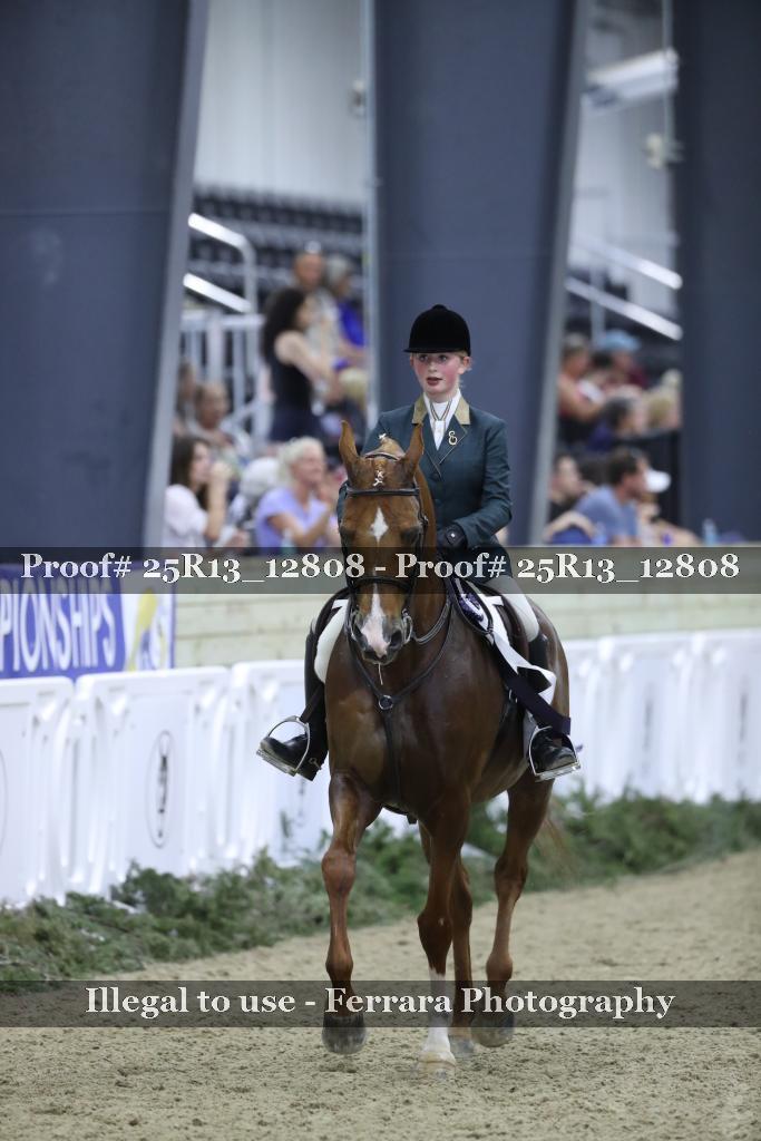 Proof 25R13_12808