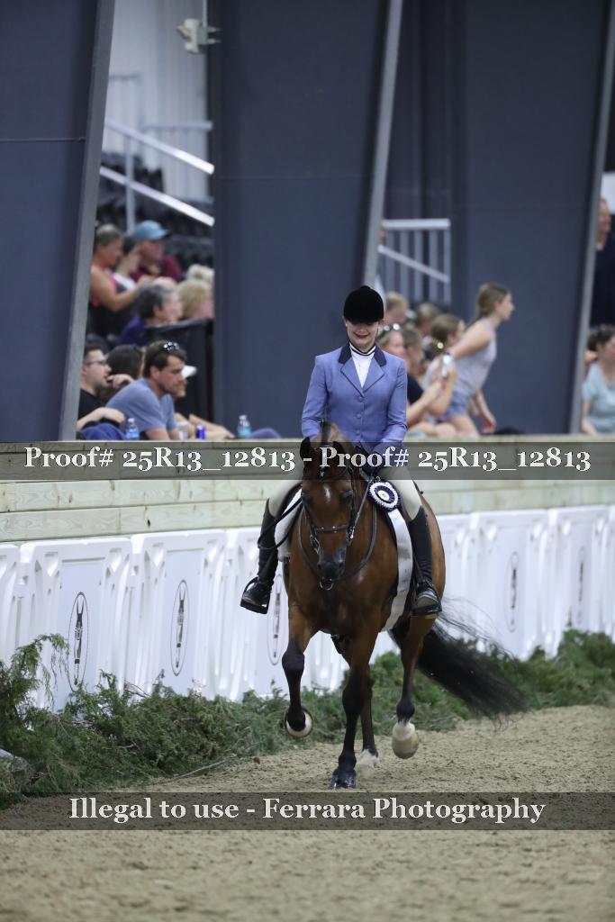 Proof 25R13_12813