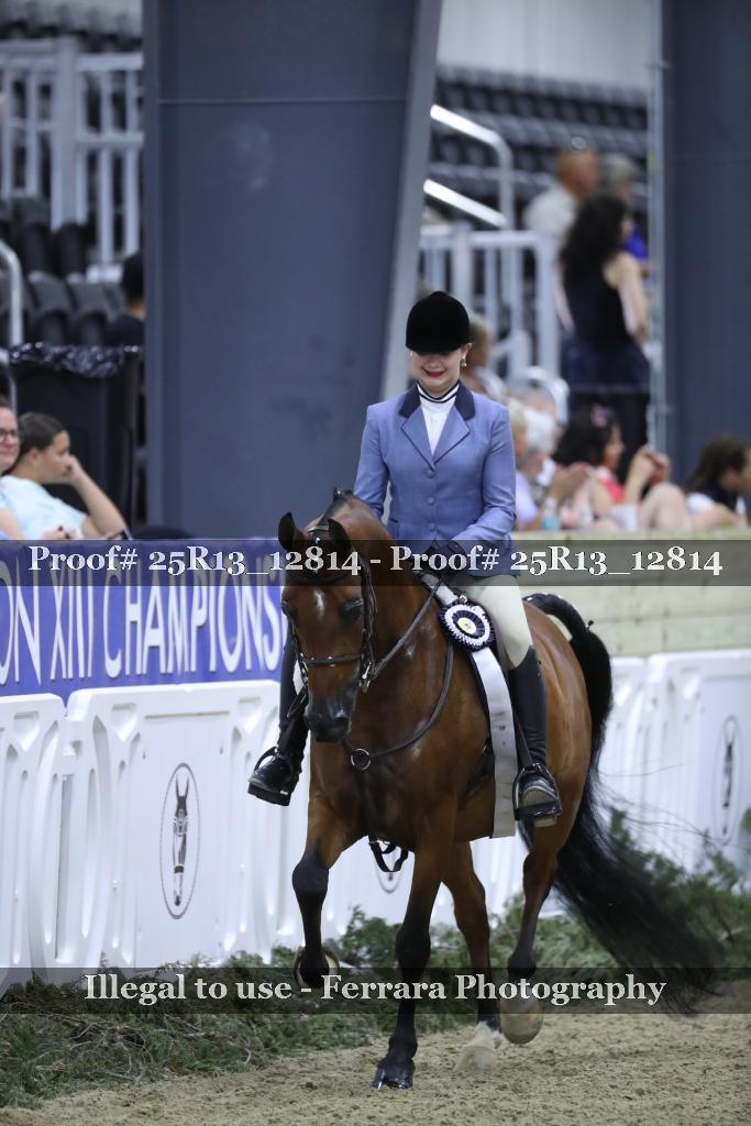 Proof 25R13_12814