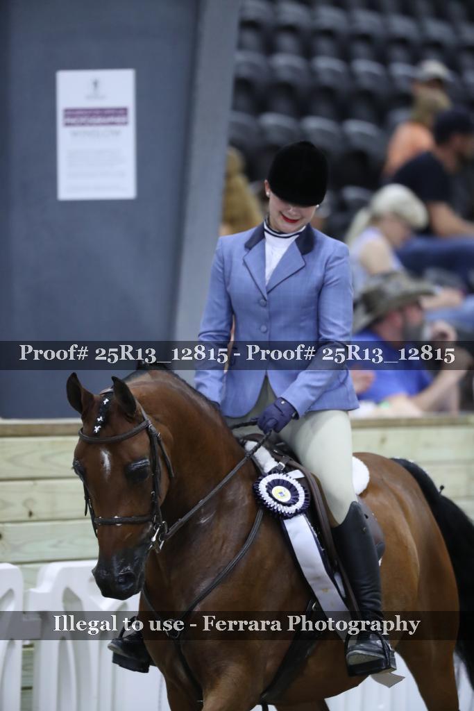 Proof 25R13_12815