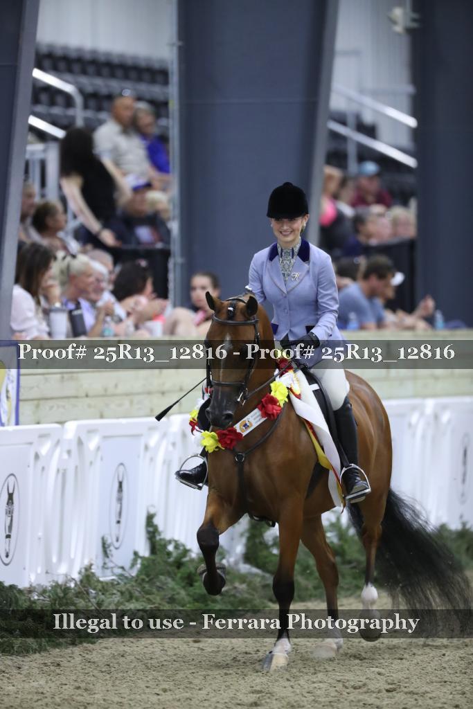 Proof 25R13_12816