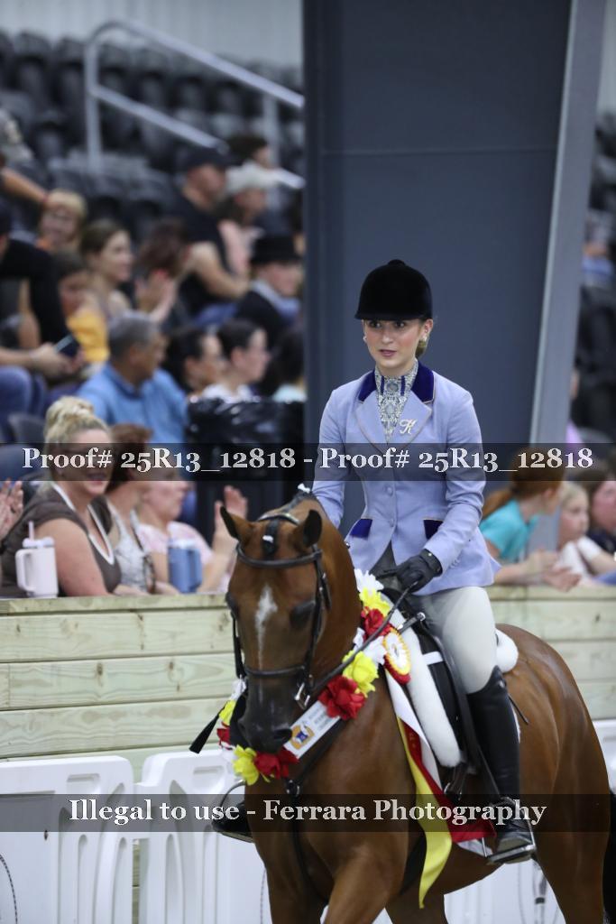 Proof 25R13_12818