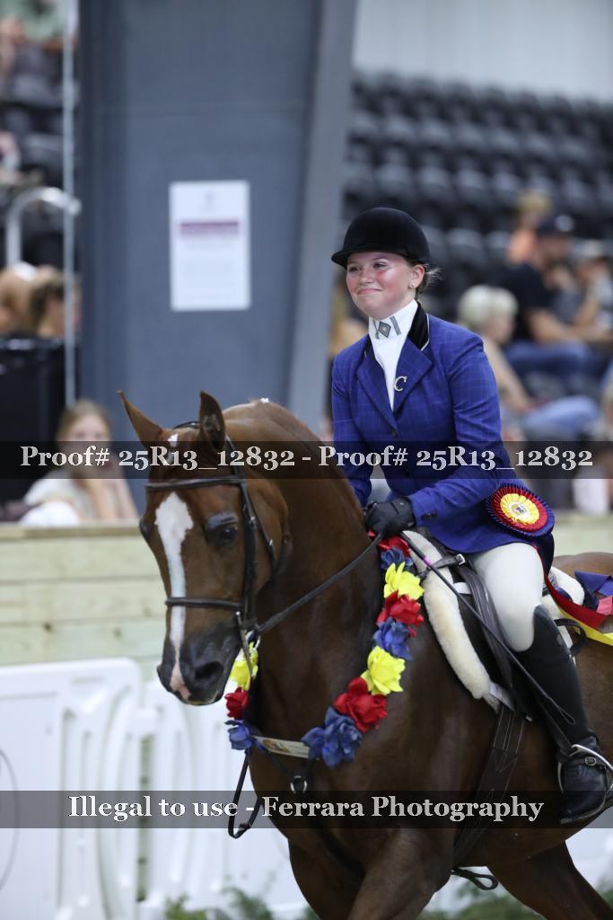 Proof 25R13_12832