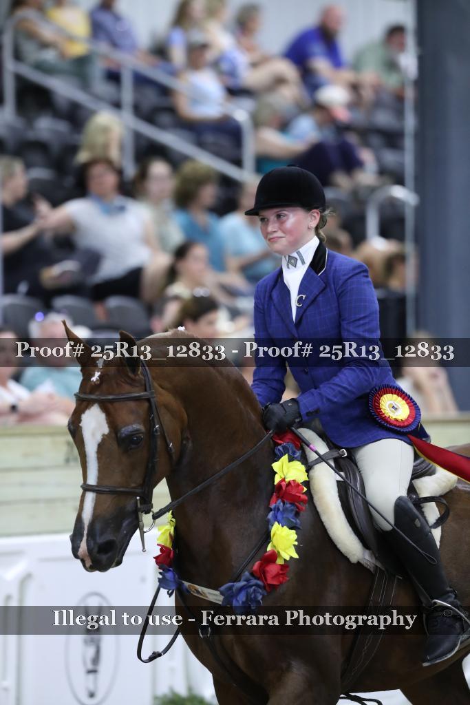Proof 25R13_12833