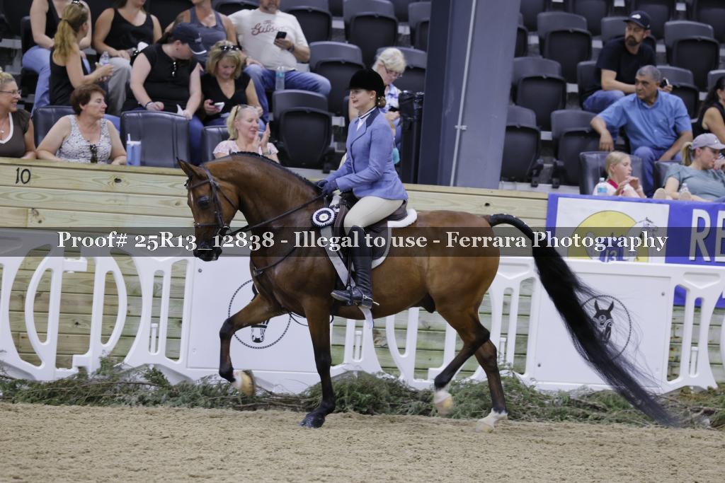 Proof 25R13_12838