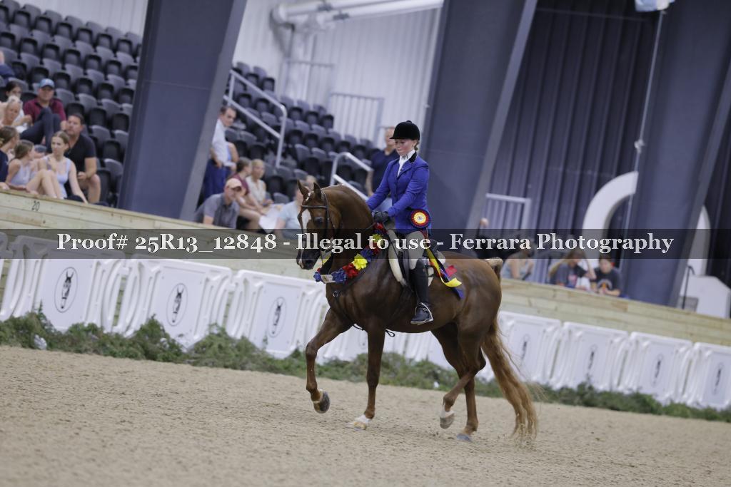 Proof 25R13_12848