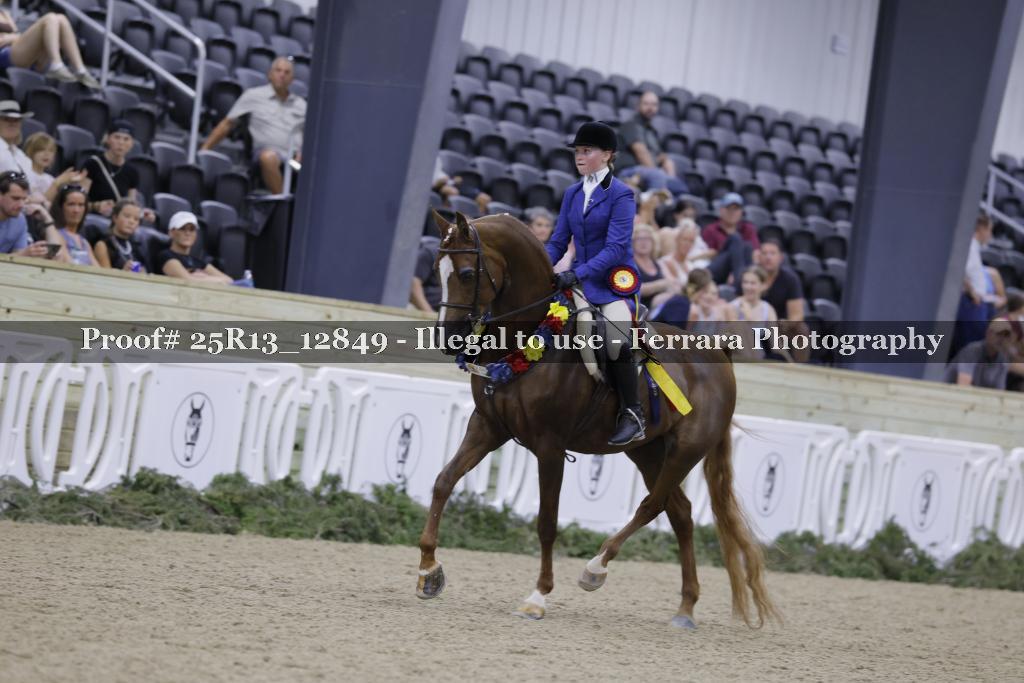 Proof 25R13_12849