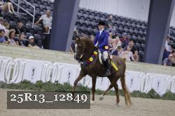 25R13_12849 proof