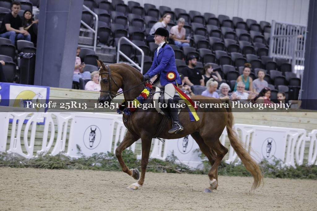 Proof 25R13_12851