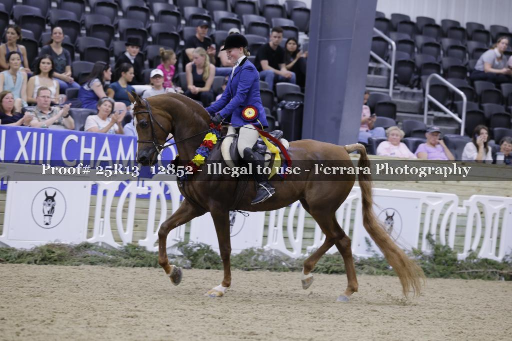 Proof 25R13_12852