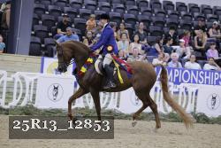 25R13_12853 proof