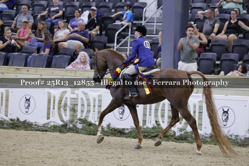 Proof 25R13_12855