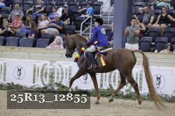 25R13_12855 proof
