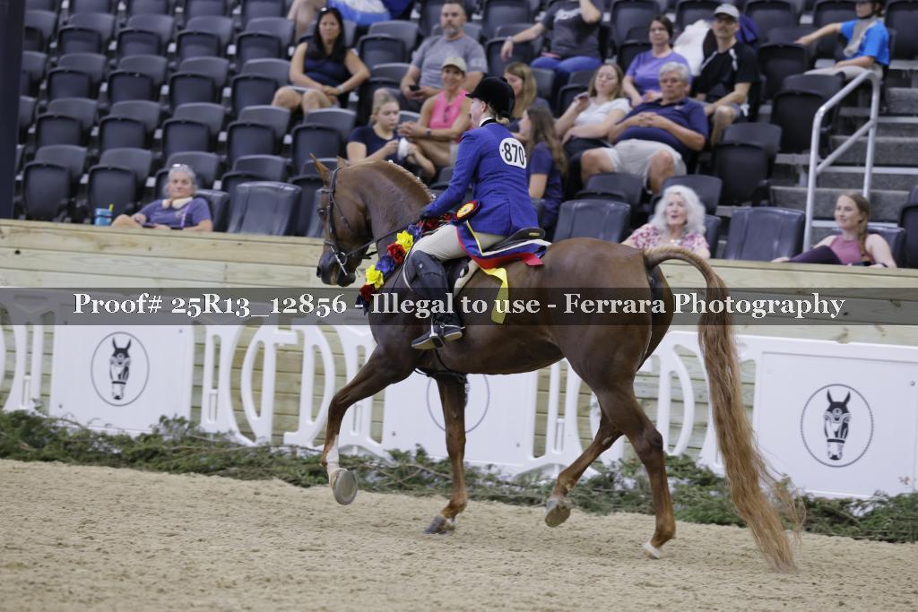 Proof 25R13_12856