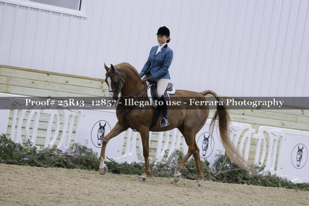 Proof 25R13_12857