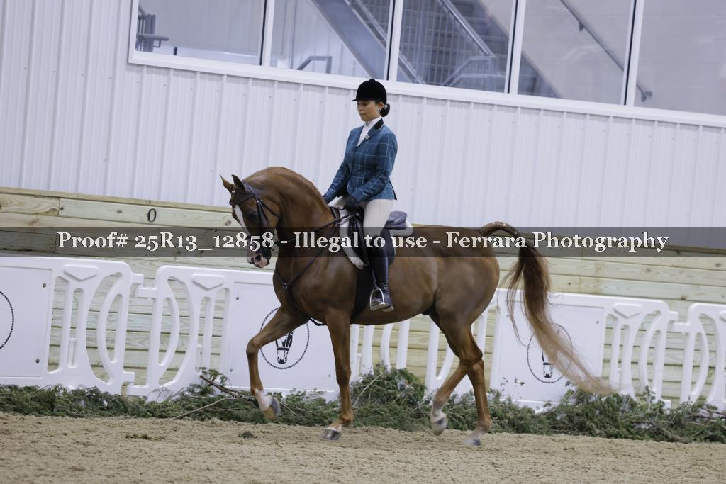 Proof 25R13_12858