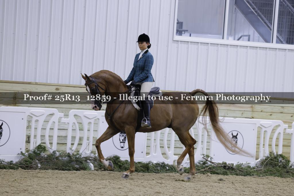 Proof 25R13_12859