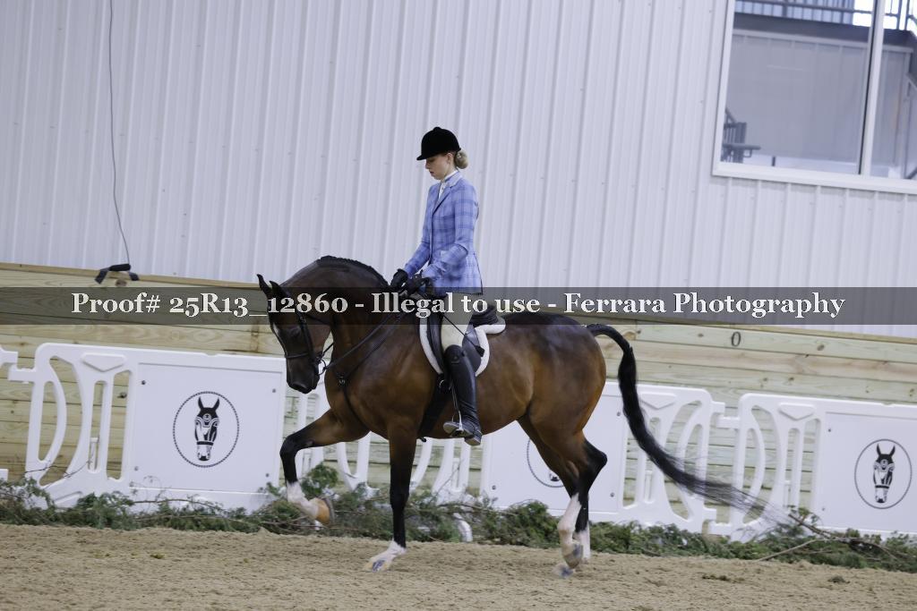 Proof 25R13_12860