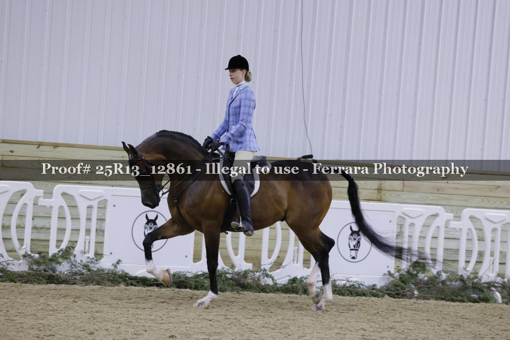 Proof 25R13_12861