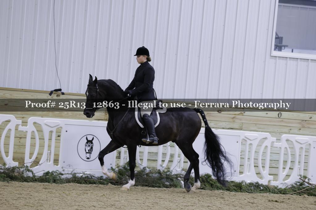 Proof 25R13_12863