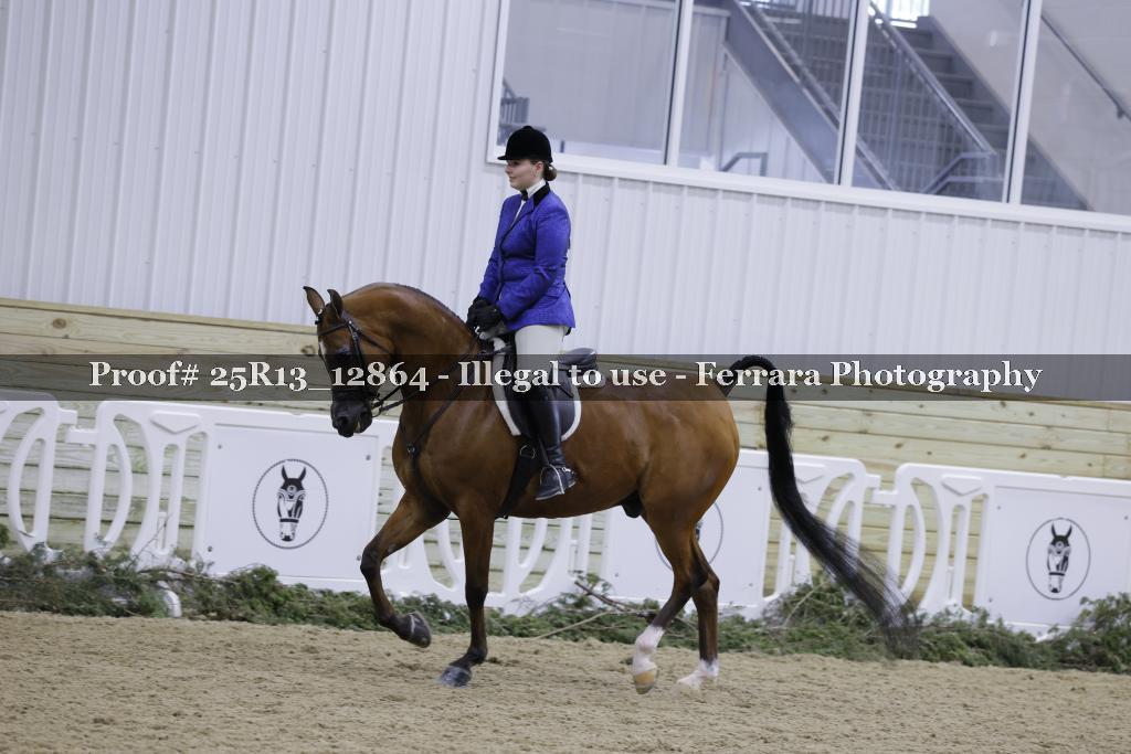 Proof 25R13_12864