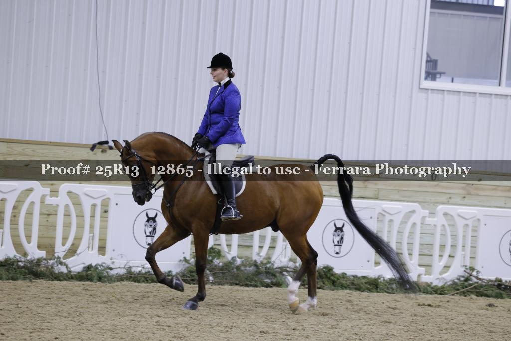 Proof 25R13_12865