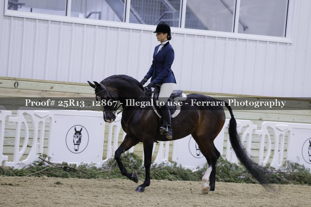 Proof 25R13_12867