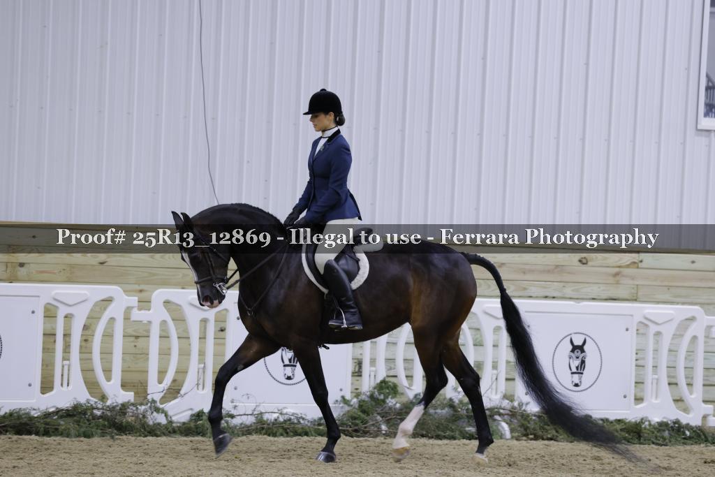 Proof 25R13_12869