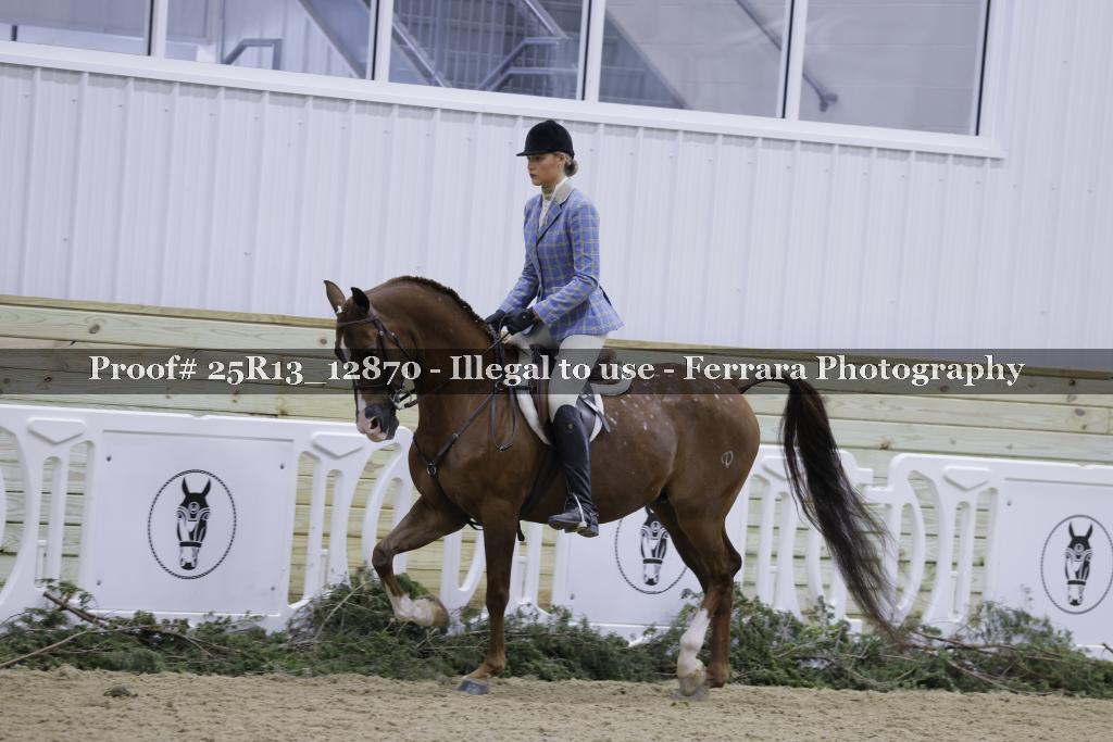 Proof 25R13_12870