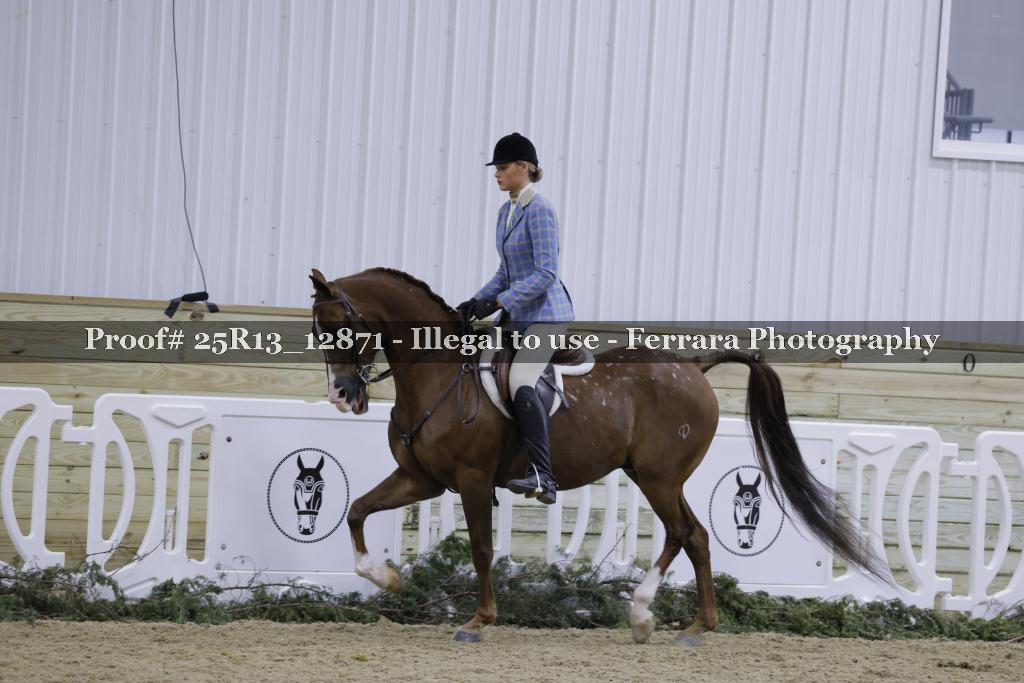 Proof 25R13_12871