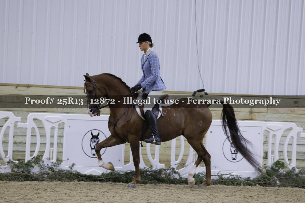 Proof 25R13_12872