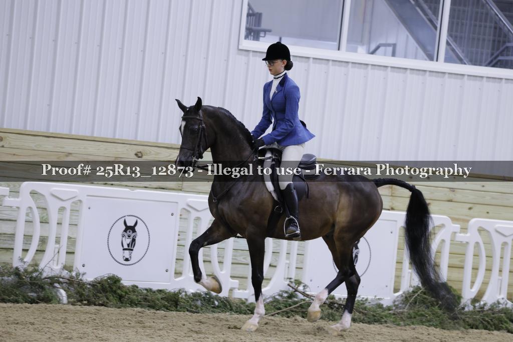 Proof 25R13_12873