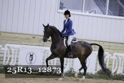 25R13_12873 proof