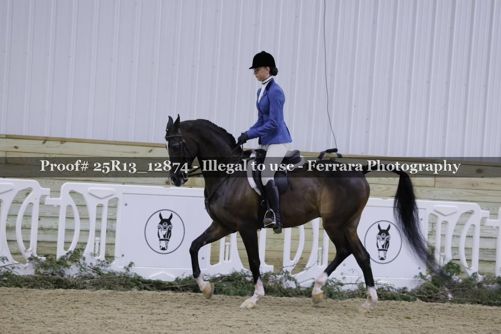 Proof 25R13_12874