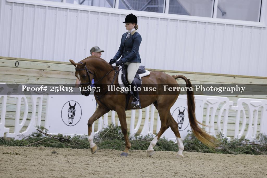 Proof 25R13_12875