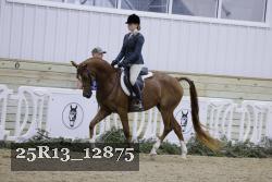 25R13_12875 proof